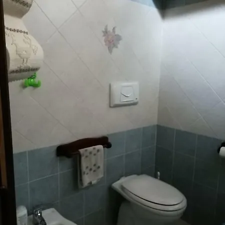 Il Gufo E La Civetta