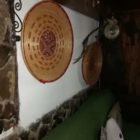 Il Gufo E La Civetta *